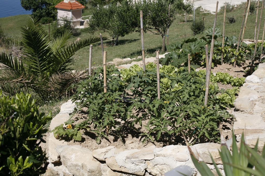 Miškovići Apartments Roza מראה חיצוני תמונה